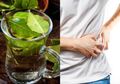 Jus Daun Ketumbar Mujarab untuk Pasien Ginjal, Tapi Awasi Hal Ini