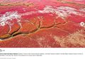 Ngeri, Citra Satelit Ini Tunjukkan Pantai di China Tiba-tiba Menjadi Merah Bagaikan Karpet Darah, Rupanya Ada Penjelasan Sangat Ilmiah di Baliknya