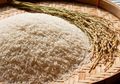 Hadapi Corona; 10 Makanan Ini Hampir Tidak Pernah Kedaluwarsa