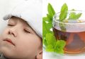Obat Penurun Panas Alami untuk Anak-anak, Termasuk Teh Herbal