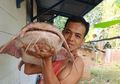 Sering Hadapi Risiko Diintai Ular Beracun, Inilah Pemburu Ikan Raksasa Generasi Terakhir di Sungai Batanghari Sumatera, Beratnya Sampai 30 Kg!