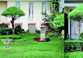 Jika Tak Suka Taman yang Rimbun, Pakai Trik Ini Bikin Simpel