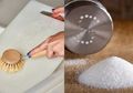 Ternyata Talenan Bisa Menjadi 'Rumah' Bakteri! Ambil Sejumput Baking Soda dan Garam Lalu Taburkan ke Atasnya, Hal Ini Bisa Terjadi Seketika