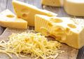 Tak Cuma Lezat, Keju Mozarella Juga Punya Manfaat Baik Buat Kesehatan