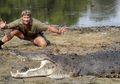 Kematian Steve Irwin Bagai Pisau Panas yang Menembus Mentega