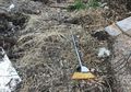 Awalnya Penuh Tumpukan Sampah dan Ratusan Kucing Liar, Rumah Kumuh Ini Bak Harta Karun Bernilai Miliaran Setelah Direnovasi!