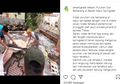 Serem Banget Nih, Kasur yang Nggak Terpakai Pas Dibuka Isinya Ular Semua