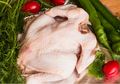 Dikenal Higienis dan Bisa Bikin Awet, Tak Banyak yang Tahu Ini yang Terjadi Jika Ayam Potong Disimpan Terlalu Lama di Dalam Freezer