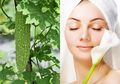 Ingin Cantik Tak Perlu Mahal, Cukup Oleskan Masker Pare pada Wajah, Meski Rasanya Pahit Ampuh Atasi Kulit Berjerawat dan Bikin Lembap Sepanjang Hari