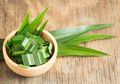 Coba Tambahkan Daun Pandan Ketika Masak Nasi Mulai Sekarang, Rupanya Hal ini Bisa Singkirkan Penyakit Mematikan ini!
