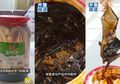 Geli dan Jijik, Sudah 3 Bulan Dipakai Masak, Satu Keluarga Syok Temukan Bangkai Kelelawar di Dalam Botol Saus Tiram