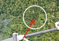 Mendarat Miring di Tanah Lembek, Helikopter yang Hilang Kontak Akhirnya Ditemukan di Tengah Belantara Hutan Papua, Begini Detik-detik Penemuan dan Kondisi Para Penumpangnya