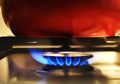 Bisa Hemat Pengeluaran, Moms Perlu Tahu Cara Masak Agar Kompor Gas Bisa Tahan Berbulan-bulan Meski Dipakai Setiap Hari