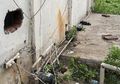 Kabur Tanpa Jejak Sampai Dijuluki 'Manusia Cacing', Napi Asal China Ternyata Sempat Beli Rokok dan Pulang ke Rumah Sebelum Kembali Melarikan Diri, Polisi: Secepatnya Kita Tangkap