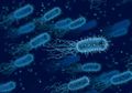 Fakta Sebenarnya: Apakah Brucellosis Benar-benar Disebabkan oleh Bocornya 'Virus' dari Laboratorium China?