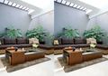 Tiga Tempat Paling Baik Pengaplikasian Skylight Pengusir Lembap