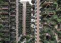 Tak Dirawat, Kompleks Hunian Berkonsep Hutan Vertikal di China Jadi Sarang Nyamuk
