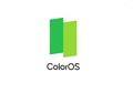 Inilah Fitur Menarik ColorOS 11.1 Yang Tersedia di Oppo Reno5