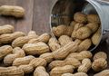 Murah Meriah, Kacang Rebus Ternyata Mampu Cegah Penyakit Mematikan