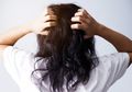 Jangan Hanya Andalkan Semir Rambut, Coba Tumbuk dan Oleskan Waluh Untuk Hilangkan Uban di Kepala