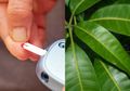 Kabar Baik untuk Penderita Diabetes, Coba Minum Air Rebusan Daun Mangga Setiap Hari, Rasakan hal Menakjubkan Ini