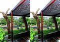 Hiasan Fungsional dan Estetik untuk Taman dengan Manfaatkan Pohon Mati