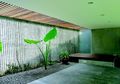 Sumber Cahaya Alami untuk Rumah Ternyata Ada Dua Jenis, Ini Bedanya!