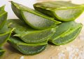 Cara Mengobati Bekas Luka di Pipi dengan Cepat Bisa Pakai 5 Bahan Alami Ini, No 3 Manjur Banget!