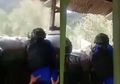 Hujani Pos Anggota TNI dengan Peluru, KKB Papua di Intan Jaya Gunakan Warga Sebagai Tameng Hidup di Pertempuran, Detik-detik Kengeriannya Terekam Jelas di Kamera
