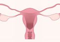 Beragam Macam Masalah Organ Reproduksi Perempuan yang Harus Diketahui, Mulai dari Keputihan Sampai Kista