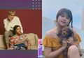 Bisa Beli Rumah Tanpa Uang Orang Tua di Usia Muda, Artis Ini Justru Dituduh Rebut Pacar Marion Jola, Roy Kiyoshi: Hubungan Mereka Positif