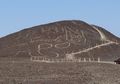 Penemuan Geoglyph Kucing Besar Nazca Di Peru. Kuno atau Baru?