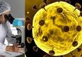 Waduh! Saat Amerika, Inggris,Jerman & Prancis Bersatu Bongkar Borok China & Misteri Laboratorium di Wuhan, Ada Apa?