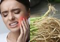 Jangan Dibuang! Akar Kangkung Jadi Obat Sakit Gigi Alami, Sembuh Total dalam Waktu Sekejap