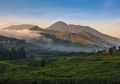 Libur Panjang Telah Tiba! Kuota Pendakian Gunung Gede Pangrango Diprediksi Aman