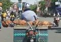 Viral Video Penggendara Sepeda Motor Angkut Jenazah Berbalut Kain, Polisi Kuak Fakta Tak Terduga