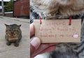 Sungguh Lucu! Kucing Peliharaan Hilang 3 Hari, Tiba-tiba Pulang Bawa Daftar Utang, Kok Bisa?