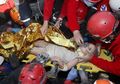 Tangannya Melambai Begitu Lihat Tim Penyelamat, Bocah Ayda yang Terkubur Reruntuhan Selama 91 Jam Berhasil Jadi Penyemangat Warga Izmir, Walikota: Kami Telah Menyaksikan Keajaiban