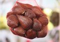 Kaya Antioksidan, Ini 10 Khasiat Dahsyat Buah Salak Untuk Kesehatan