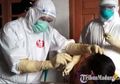 Lonjakan Kasus Corona Indonesia Makin Memprihatinkan, Luhut Pandjaitan Wajibkan Penumpang Pesawat dan Kapal Wajib Swab Antigen, Berikut Tingkat Akurasi dan Biayanya!
