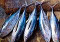 Jangan Takut Merkuri Pada Ikan Laut, Ikan yang Kadarnya Tinggi Jauh Lebih Sedikit Jenisnya