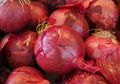 Nyesel Baru Tahu! Selain Hilangkan Uban dan Buat Kulit Glowing, Bawang Merah Bisa Sulap Tanaman di Rumah Jadi Seperti Ini
