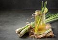 Tak Hanya Berguna Dalam Masakan, Serai Berikan 5 Manfaat Kesehatan dari Sembuhkan Sakit Gigi hingga Turunkan Kolesterol