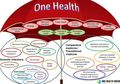 Lawan Pandemi Baru, Konsep One Health Harus Diutamakan, Seperti Apa?