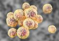 Bakteri Kebal Antibiotik Jadi Ancaman Kesehatan di Tengah Pandemi Virus Corona