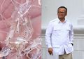 Ngarep Divonis Bebas, Edhy Prabowo Merasa Dirinya Berjasa Memperbaiki Kinerja Pimpinan Kementerian KKP yang Amburadul: Nggak Maksud Mengecilkan yang Dulu...