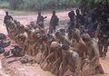 Berlokasi di Cilacap, Inilah Tempat yang Dijuluki Neraka Bagi Kopassus, Tetapi Mereka yang Keluar dari Neraka Ini Menyandang Gelar Pasukan Elit TNI AD
