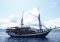 Liburan di Labuan Bajo Pakai Sea Safari Cruise Serasa Jadi Anak Sultan