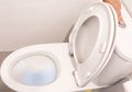 Harus Lebih Ekstra di Masa Pandemi, Begini Cara Mengganti Bowl Toilet yang Sudah Rusak dan Tak Layak Pakai