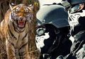 Jadi Penjaga Soekarno di Detik-detik Terakhirnya, Pasukan Harimau Indonesia Diklaim Punya Kehebatan Luar Biasa, Sering Buat Belanda Kewalahan dengan Strategi Tempurnya